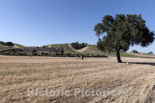 Paso Robles, CA Photo - Farm Scene in Paso Robles, California