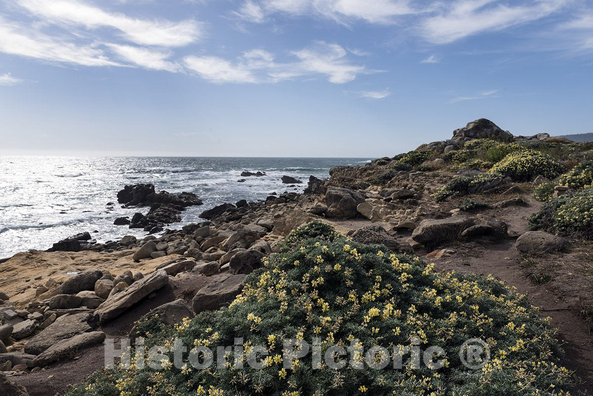 Jenner, CA Photo - Scenic View of The Pacific Coast in Jenner, California