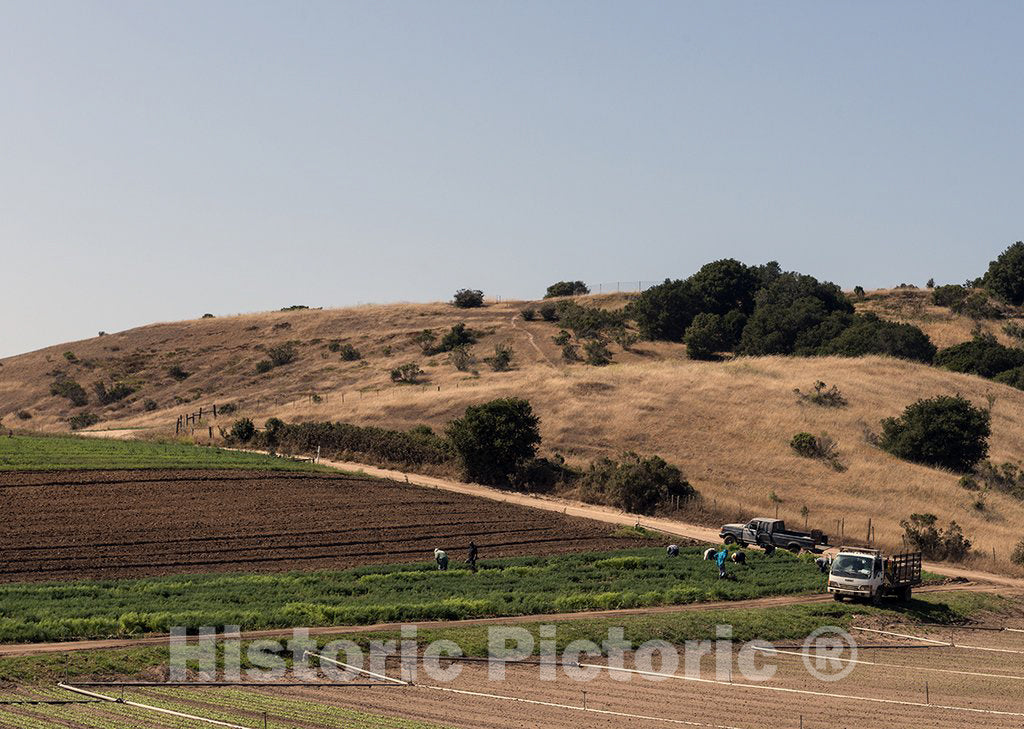 Watsonville, CA Photo - Farm scene near Watsonville, California