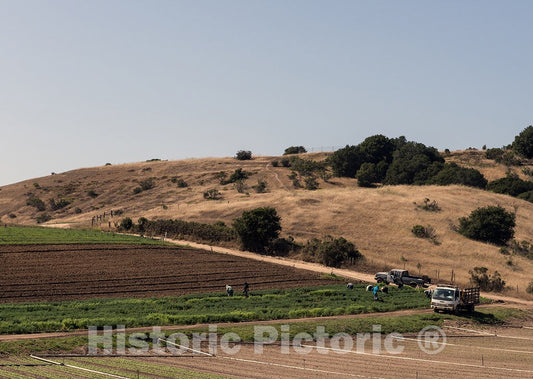 Watsonville, CA Photo - Farm scene near Watsonville, California