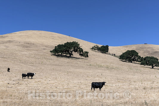 California Photo - Scenic Views Along Route 46 in California
