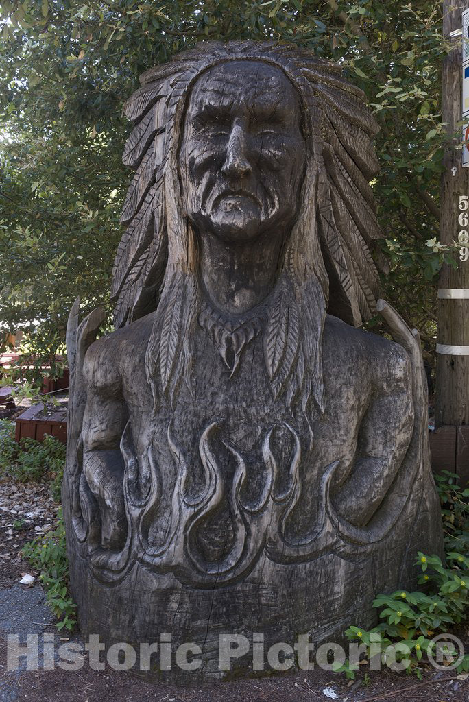 California Photo - Northern CA Redwood Attraction: Wood Sculpture, Bust of Native American