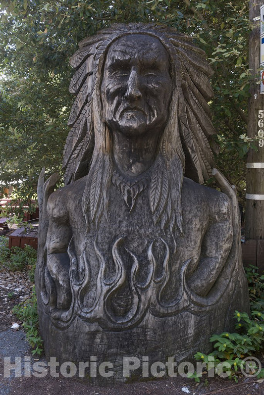 California Photo - Northern CA Redwood Attraction: Wood Sculpture, Bust of Native American