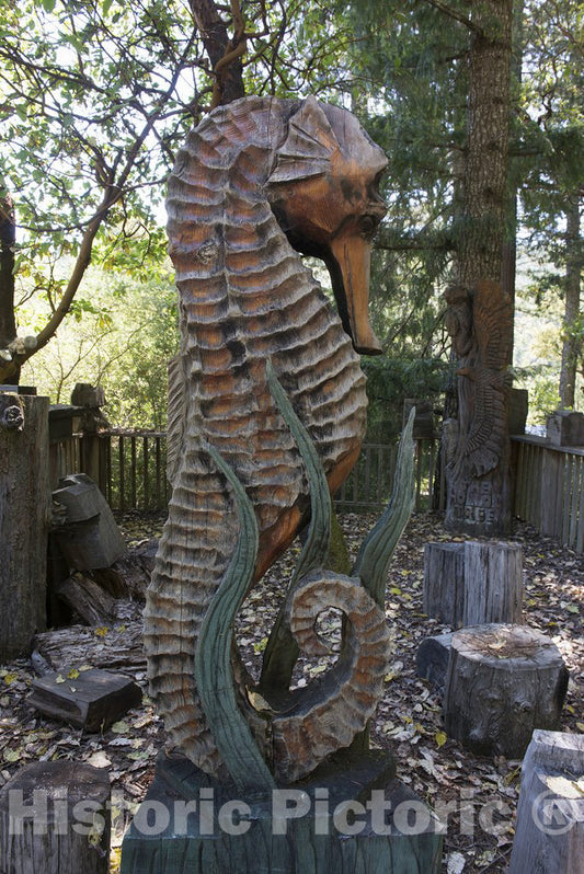 California Photo - Northern California Redwood attraction: seahorse wood sculpture