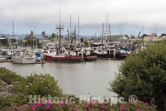 California Photo - Boats at Dock, Northern California