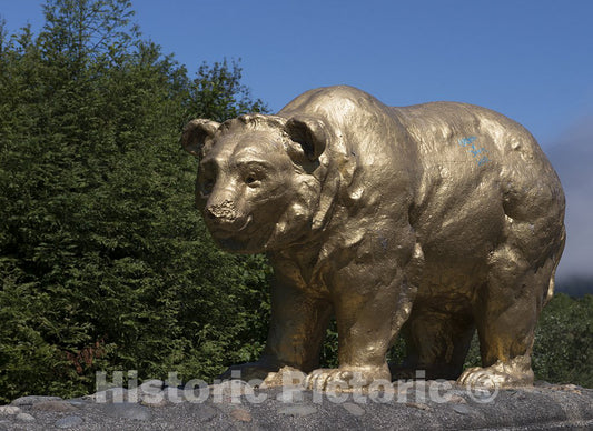 California Photo - Golden Bear Statue in Northern California