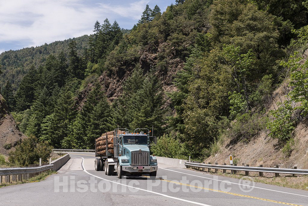 California Photo - Logging Truck California