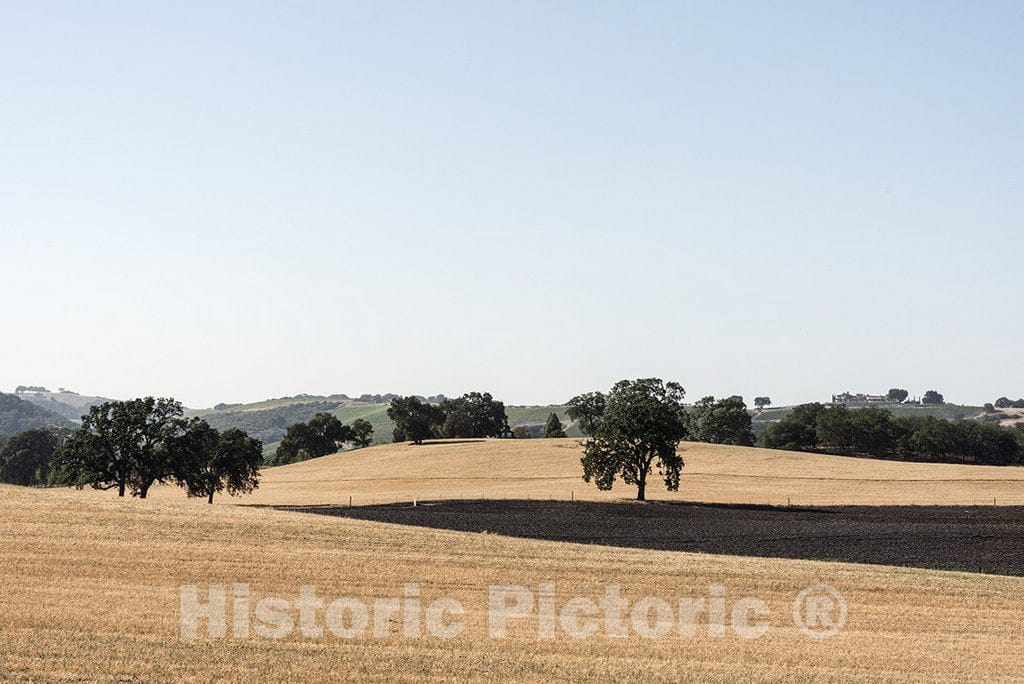 California Photo - Views from Route 46 in The Central Valley of California
