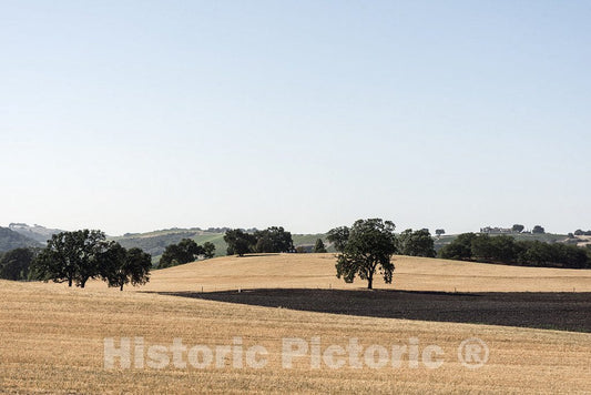 California Photo - Views from Route 46 in The Central Valley of California