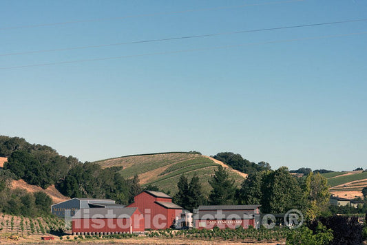 California Photo - View of Dark Star Cellars/Midnight Winery from Route 46 in The Central Valley of California
