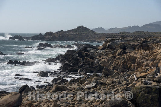 California Photo - Scenic Views of The Pacific Coast in Northern California
