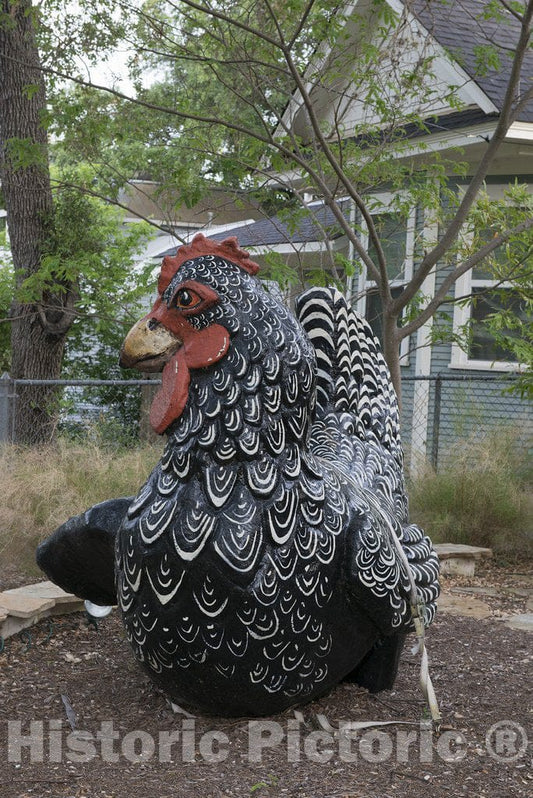 Austin, TX Photo