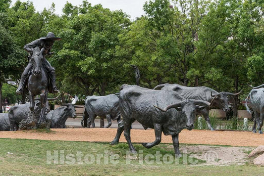 Photograph - Some of the 70 bronze steers in a large sculpture in Pioneer Park in Dallas, Texas, that commemorates nineteenth- century cattle drives that took place along the Shawnee Trail 3