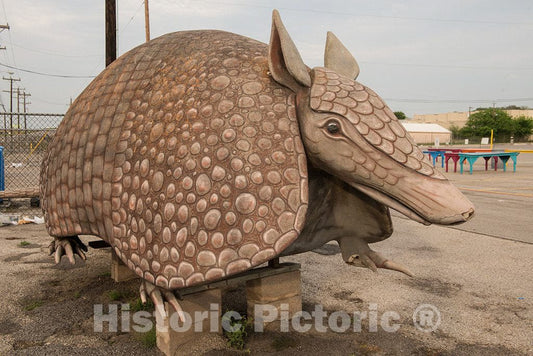 Photo- an Oversized Armadillo, The Informal Mascot at Bussey's Flea Market, a Gathering of Merchants Selling Assorted Wares from Tables Over a Several-Block Area in Schertz