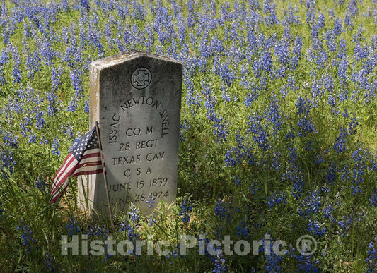 Livingston, TX Photo - Headstone of a Confederate Cavalryman amid a Field of Wildflowers in The Old Livingston Cemetery-