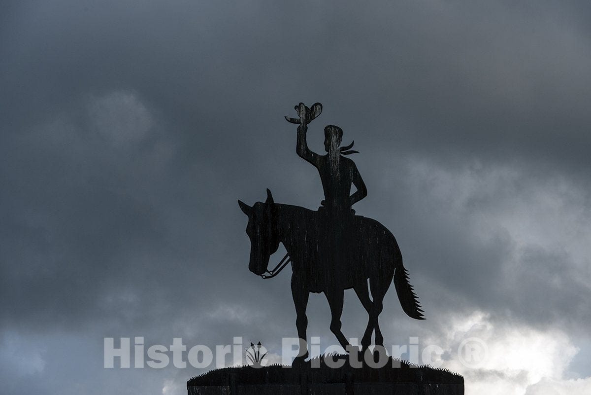 Kendall County, TX Photo - Metal Art Along The Road from Johnson City to Kerrville-