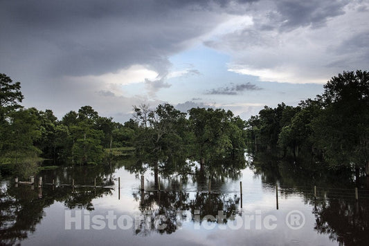 Hardin County, TX Photo - Swampy Scene in Rural Hardin County in Southeast Texas
