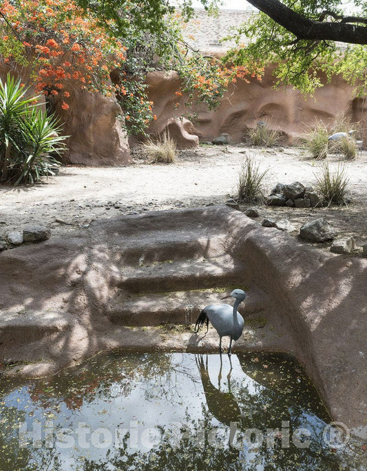 Brownsville, TX Photo - Scene at a Quiet Reflecting Pool at The Gladys Porter Zoo in Brownsville, TX