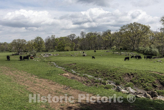 Berkeley County, WV Photo - Rural Scene in Berkeley County, West Virginia