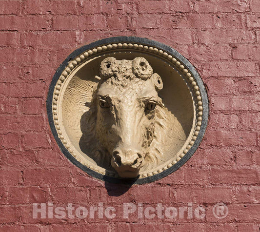 Wheeling, WV -Photo - Horsehead Detail on an Outside Wall of Centre Market in Wheeling, West Virginia