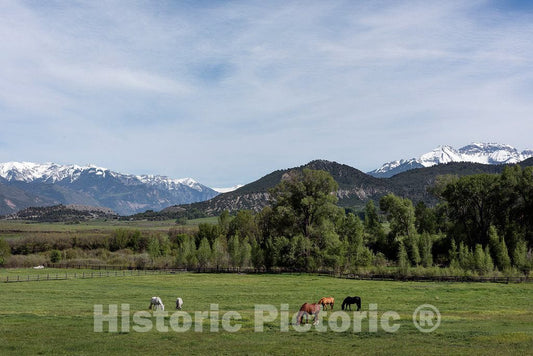 Photograph- Horses graze in a beautiful valley in the foothills of the San Juan range of the Rocky Mountains just outside the town of Ridgway, which calls itself the"Gateway to the San Juans