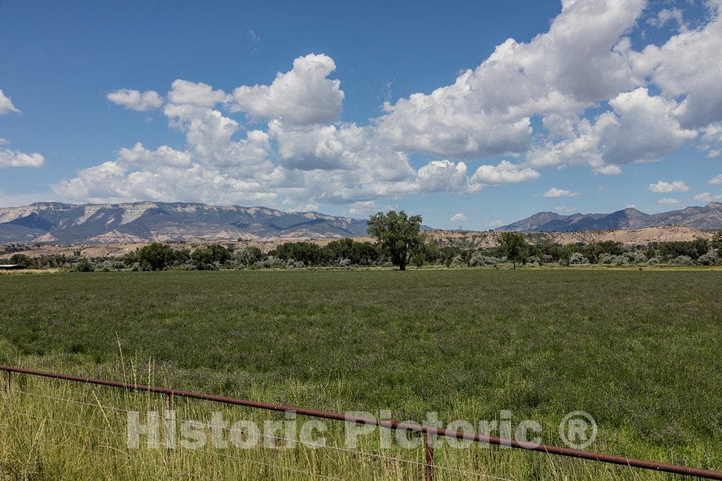 Photo - Meadow and Mountain View East of Rifle in Garfield County, Colorado- Fine Art Photo Reporduction