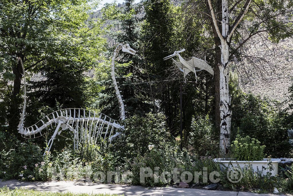 New Castle, CO Photo - Land and air-based dinosaurs, or least their skeletons, cavort in a garden in New Castle, Colorado