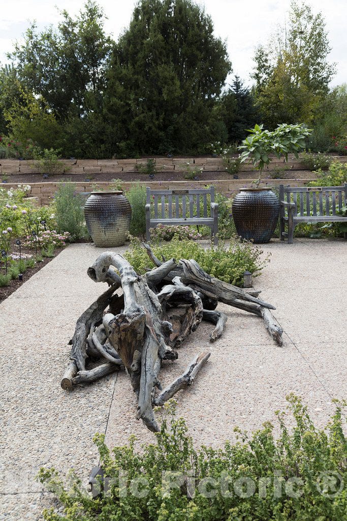 Denver, CO Photo - Driftwood Installation at The Denver Botanic Gardens in Denver, Colorado