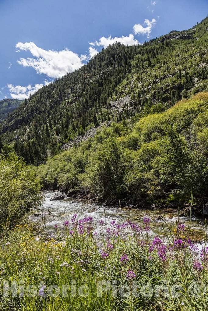 Photograph - View of the high Rocky Mountains from a precipitous, rock-strewn road from the town of Marble in the Crystal River Valley up to what is now the virtual ghost town of Crystal 1