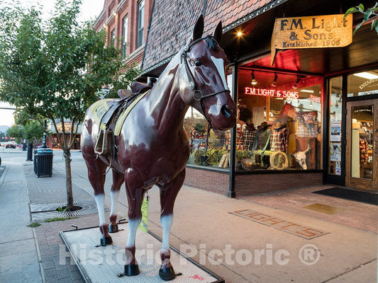 Photo - an eminently rideable Display Horse Outside The venerable F.M. Light & Sons Western-wear Store, Founded in 1905 in Steamboat Springs- Fine Art Photo Reporduction
