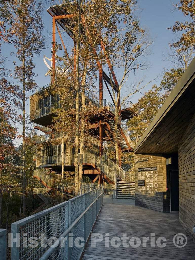 Photo- A Gigantic Tree House, Expectedly The San Francisco-Based Mithun Architecture firm's freestanding 1 Fine Art Photo Reproduction