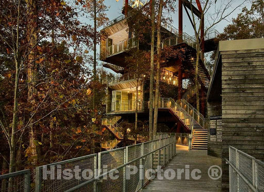 Photo- A Gigantic Tree House, Expectedly The San Francisco-Based Mithun Architecture firm's freestanding 2 Fine Art Photo Reproduction