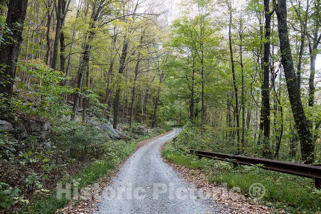 Photograph - Picturesque but Slender Road to Nuttallburg, a Ghost Town That was Once one of About 50 Places That Sprang up in The deep West Virginia 1