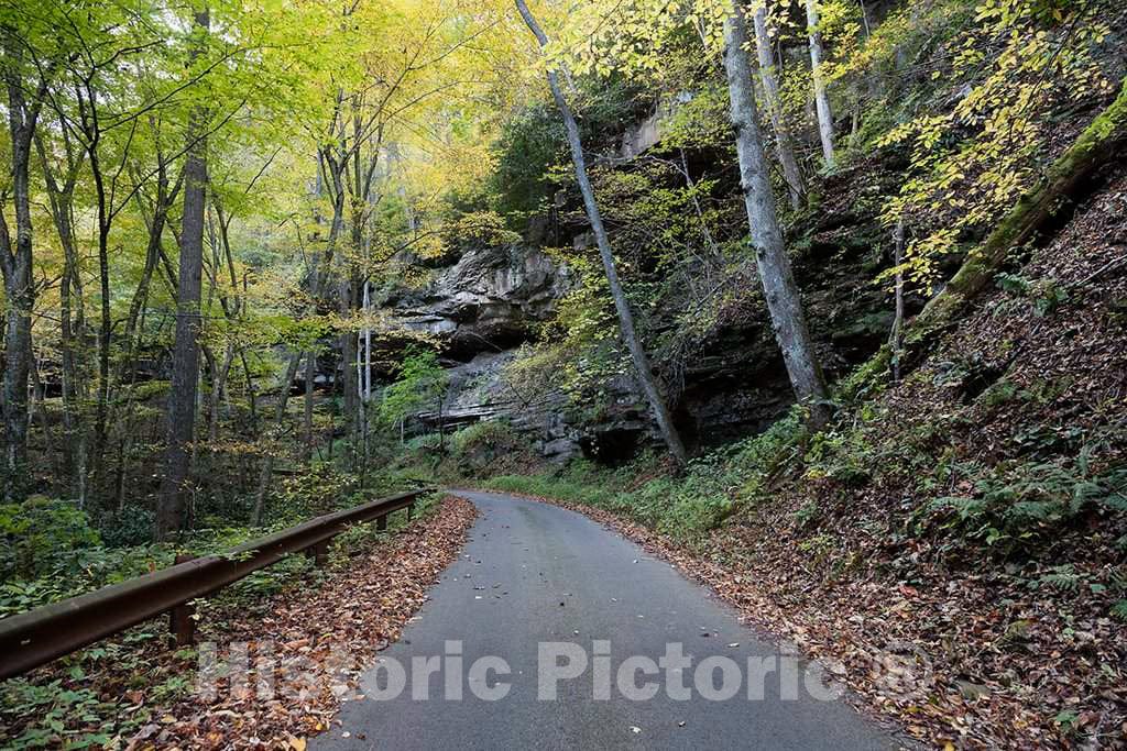 Photograph - Picturesque but Slender Road to Nuttallburg, a Ghost Town That was Once one of About 50 Places That Sprang up in The deep West Virginia 2