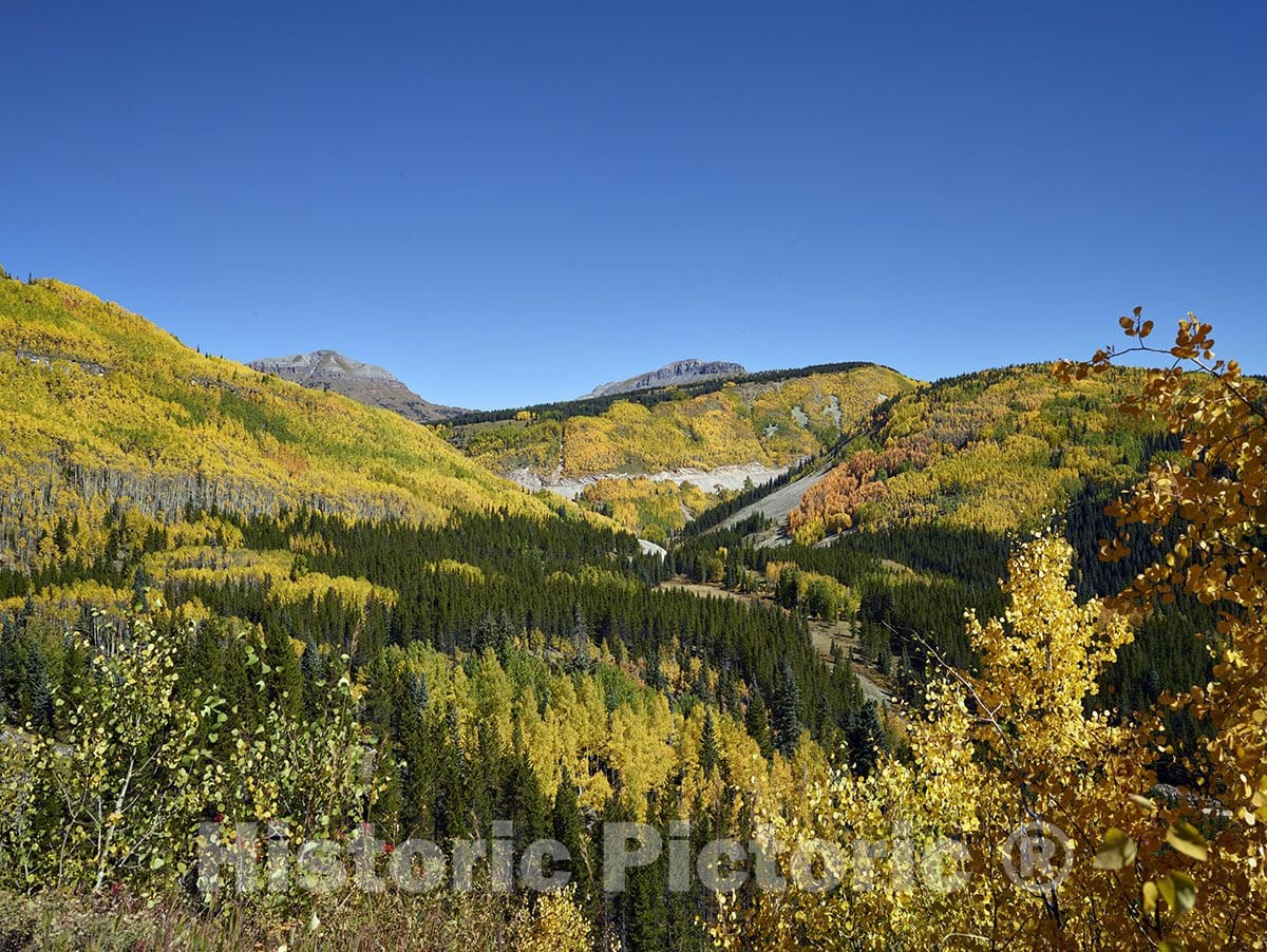 San Juan County, CO Photo - Fall aspens in San Juan County, Colorado.