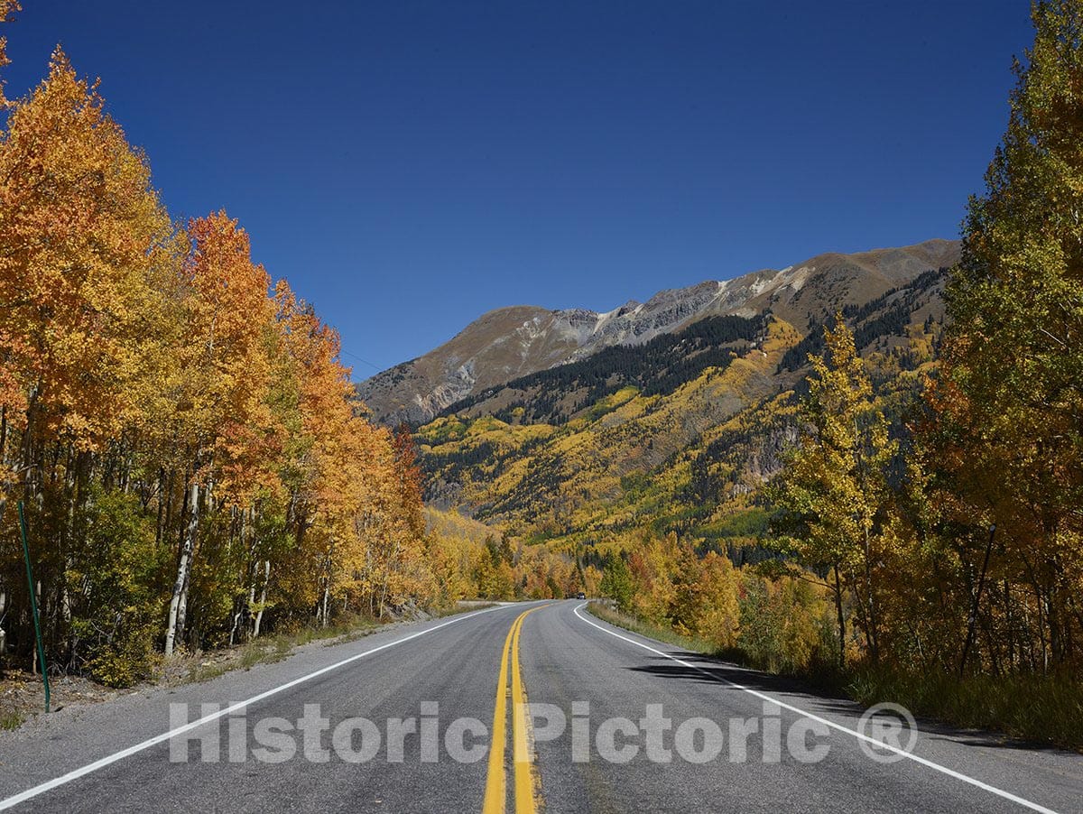San Juan County, CO Photo - Vivid Fall Colors on The hillsides Between Ouray and Silverton