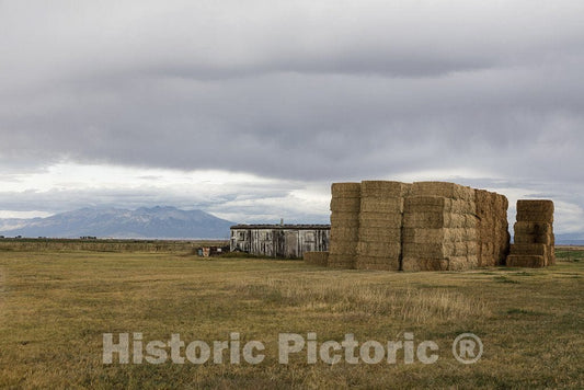 Alamosa County, CO Photo - Hay Bales and an Old Storage Shack in Alamosa County, Colorado.
