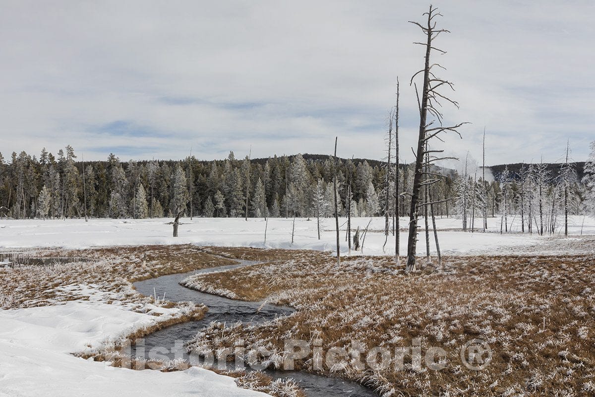 Yellowstone National Park, Wyoming Photo - Ice coats the trees in in Yellowstone-