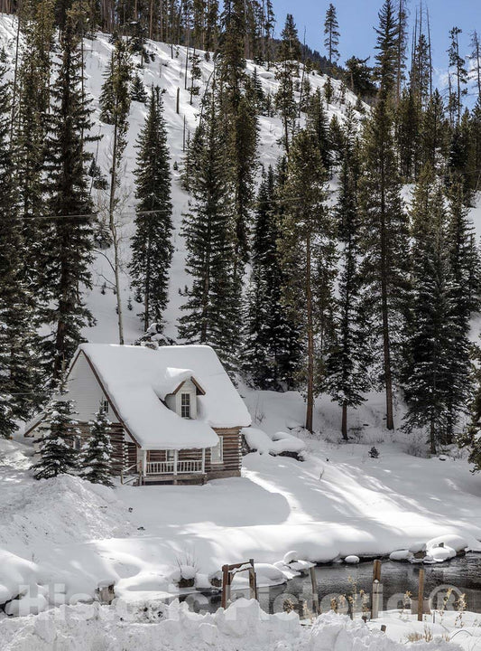 Aspen, CO Photo - Snow clings to Woodsy Branches in This Lovely Scene-
