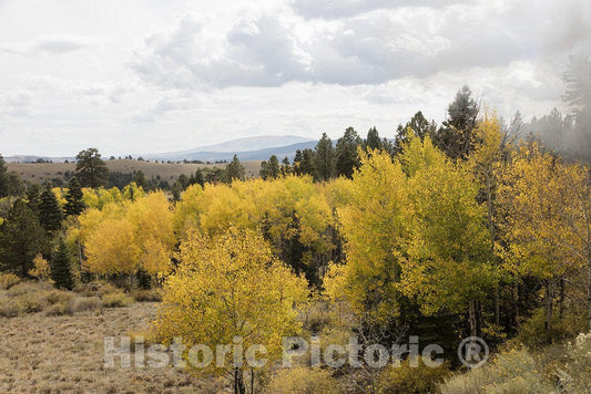 Conejos County, CO Photo - Autumn in The San Juan Mountains of Conejos County, Colorado, Near The New Mexico Border.