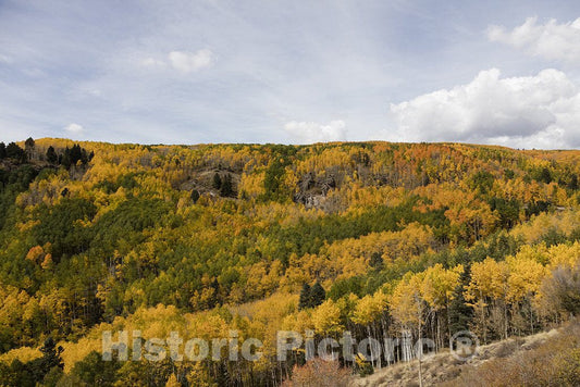 Conejos County, CO Photo - Autumn in the San Juan Mountains of Conejos County, Colorado, near the New Mexico border.