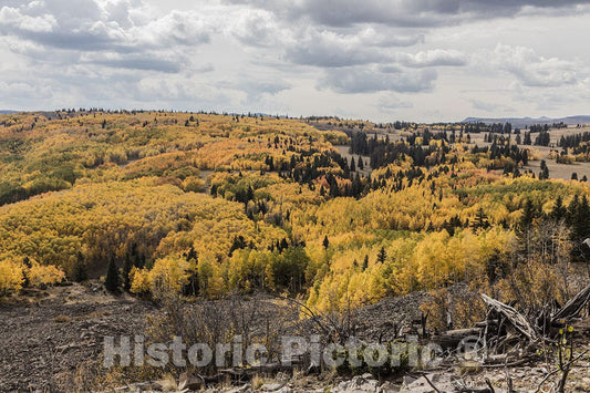 Conejos County, CO Photo - Autumn in The San Juan Mountains of Conejos County-