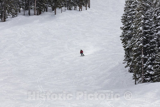 Frisco, CO Photo - Expert Skier Rebecca Selig descends a Slope at The Copper Mountain Ski Resort, Near Frisco, Colorado.