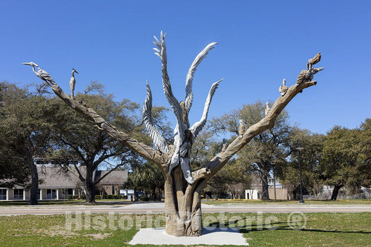 Bay St. Louis, Mississippi Photo - Part of a hurricane-damaged tree turned into a woodcarving-