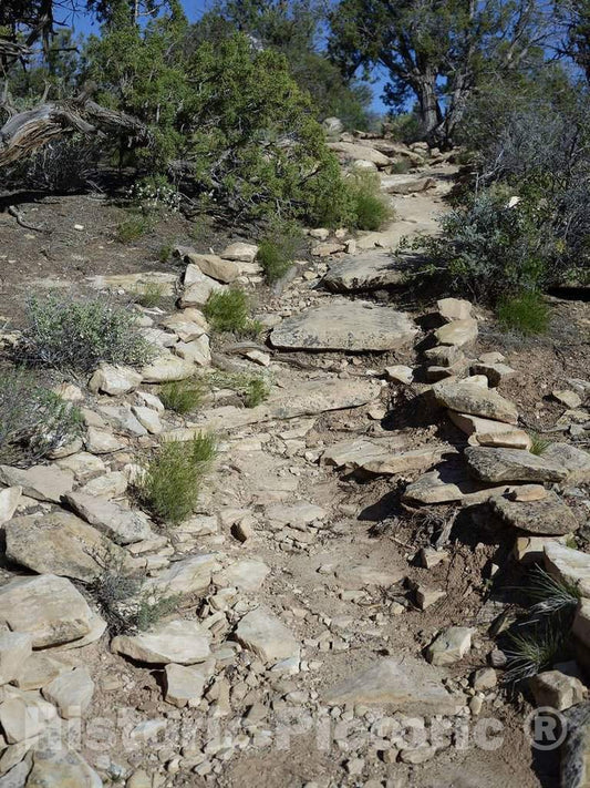 Photograph- Stone pathway in the Colorado portion of Hovenweep National Monument, a widely dispersed example of architectural ruins from the Anasazi or"ancient people's" period preceding the