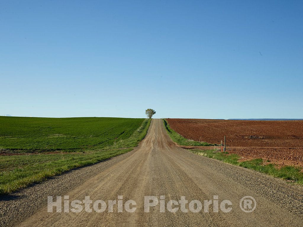 Photo- Vista Down a Country Road in Southwestern Colorado's Montezuma County 1 Fine Art Photo Reproduction