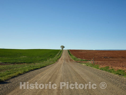 Photo- Vista Down a Country Road in Southwestern Colorado's Montezuma County 1 Fine Art Photo Reproduction