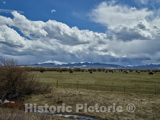 Photo - Cattle ranch and distant mountains in Jackson County, Colorado- Fine Art Photo Reporduction