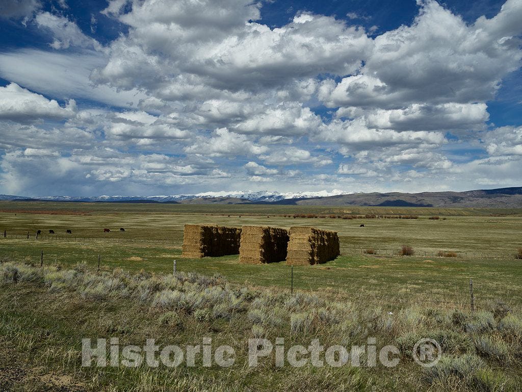 Photo - Farm Scene Near The Town of Rand in Jackson County, Colorado- Fine Art Photo Reporduction
