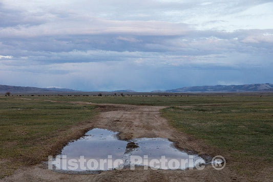 Photo - Evidence of a Rainy Spring at Big Creek Cattle Ranch on The Colorado Border, Near The Towns of Riverside and Encampment, in Carbon County, Wyoming